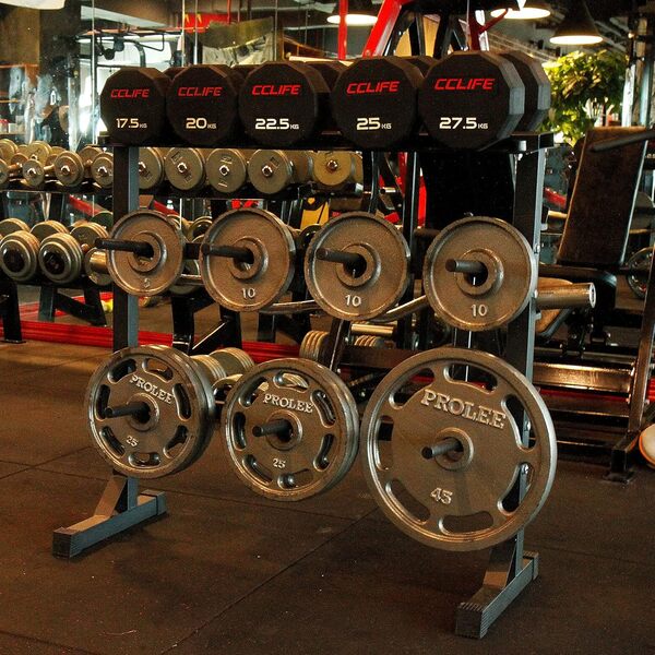 CCLIFE Support pour haltères Support de Poids Repose haltères Max. d'env. 300 kg Rack de Rangement pour Poids et Halteres-ZERRO